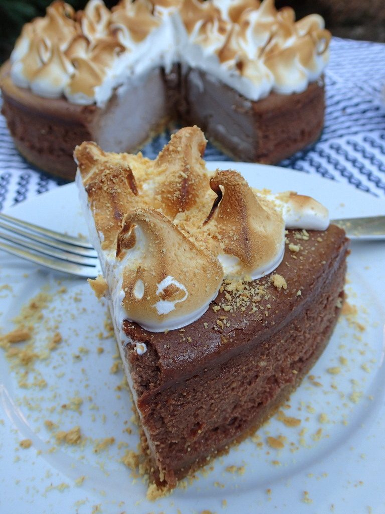 S'Mores Cheesecake from dirtydishclub.com